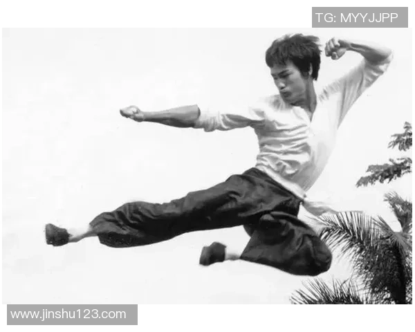 少林足球中是否有李小龙的身影与其武术精神的深刻关联探讨